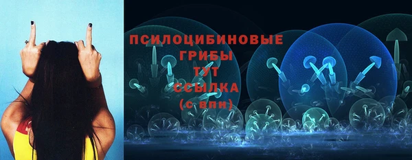 стаф Няндома