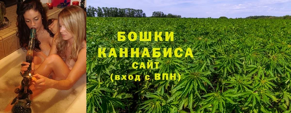 PSILOCYBIN Нязепетровск