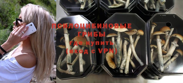 PSILOCYBIN Нязепетровск
