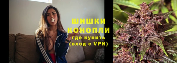стаф Няндома