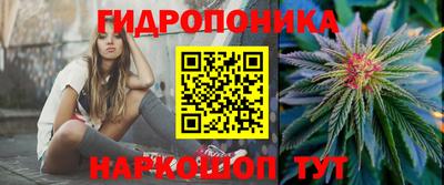 apvp Гай