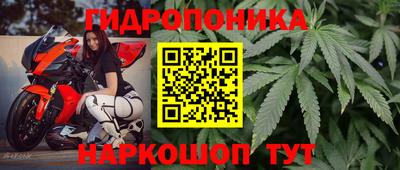 винт Гагарин