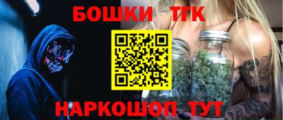 индика Абакан