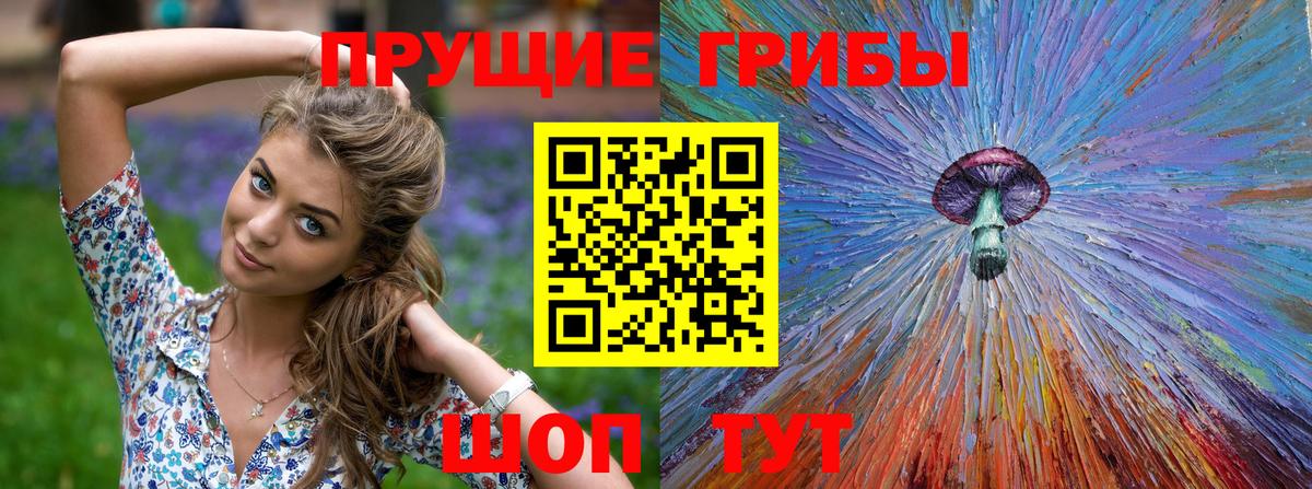 Галлюциногенные грибы Psilocybine cubensis Ижевск
