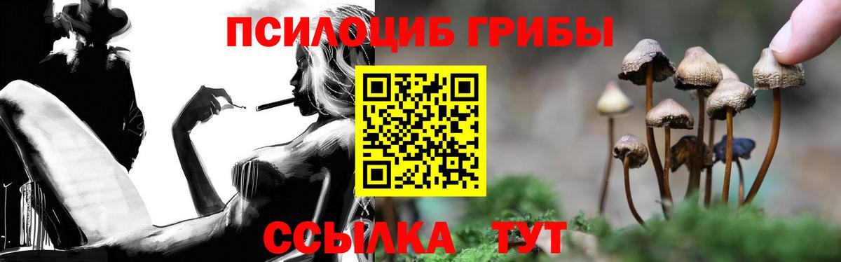 Ижевск  Псилоцибиновые грибы прущие грибы  Вход с VPN  Псилоцибиновые грибы Psilocybe 